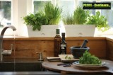 Prima-květináče designový, barevný, plastový truhlík Elho s integrovaným zavlažovacím systémem, truhlík na parapet nebo do kuchyně samozavlažovací plastové venkovní závěsné