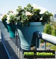 Prima-květináče Plastový květináč ELHO Corsica Flower Bridge 30, závěsný květináč na balkon samozavlažovací plastové venkovní závěsné