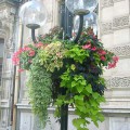 Prima-květináče samozavlažovací květinové mísy, závěsné sestavy na sloupy veřejného osvětlení, květníky na sloupy Green City samozavlažovací plastové venkovní závěsné