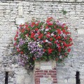 Prima-květináče samozavlažovací květinové nádoby na zeď – moderní, velké půlmísy na zeď, květináče na stěny, nástěnné květníky Green City samozavlažovací plastové venkovní závěsné