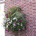 Prima-květináče samozavlažovací květinové nádoby na zeď – moderní, velké půlmísy na zeď, květináče na stěny, nástěnné květníky Green City samozavlažovací plastové venkovní závěsné