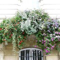 Prima-květináče samozavlažovací květinový truhlík na zeď – moderní, velké truhlíky na zeď, květináče na stěny, nástěnné květníky Green City samozavlažovací plastové venkovní závěsné