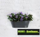 Prima-květináče kvalitní nástěnný květináč, květináče na zeď, stěnu, stěny, květináč na zeď ELHO samozavlažovací plastové venkovní závěsné