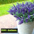 Prima-květináče keramický květináč Capi® Nature – moderní, interiérové, venkovní, designové, originální květníky, kamenné samozavlažovací plastové venkovní závěsné