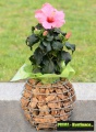 Prima-květináče gabionové květináče gabionový truhlík samozavlažovací plastové venkovní závěsné