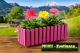 Prima-květináče levný, designový, okrasný obal květinový truhlík, plastové květníky samozavlažovací plastové venkovní závěsné