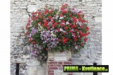 samozavlažovací květinové nádoby na zeď – moderní,  velké půlmísy na zeď,  květináče na fasády