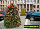 Prima-květináče květinová vertikální pyramida, květinové věže do měst a obcí, květinová sestava – moderní výzdoba veřejných prostranství, kaskádové zahrady samozavlažovací plastové venkovní závěsné