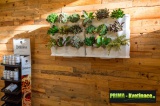 Prima-květináče vertikální květináče, kaskádový květináč na jahody, zelené stěny samozavlažovací plastové venkovní závěsné