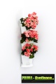 Prima-květináče sada k uchycení rohových setů Minigarden® na stěnu, vertikální zahrada interiér samozavlažovací plastové venkovní závěsné