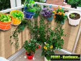 Prima-květináče Balkonové záclony set, ratanové rohože, clony na balkonové zábradlí, ratanová zástěna na balkon, zastínění balkonu samozavlažovací plastové venkovní závěsné