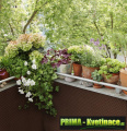 Prima-květináče zástěna na balkon ratanová výška 100 cm samozavlažovací plastové venkovní závěsné