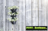 Prima-květináče kvalitní nástěnný vertikání květináč, květináče na zeď, stěnu, stěny ELHO samozavlažovací plastové venkovní závěsné