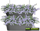 Prima-květináče kvalitní závěsné květináče ELHO na zábradlí a balkóny, závěsný květináč na zábradlí samozavlažovací plastové venkovní závěsné