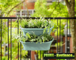 Prima-květináče kvalitní závěsné květináče ELHO na zábradlí a balkóny, závěsný květináč na zábradlí samozavlažovací plastové venkovní závěsné