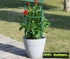 Prima-květináče opora pro rostliny, opora pro růže, rajčata samozavlažovací plastové venkovní závěsné