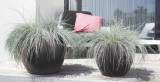Prima-květináče Květináče ELHO Pure Soft Round Wheels – moderní, venkovní, velké květináče, vonkajšie, veľké, kvetináče, črepníky samozavlažovací plastové venkovní závěsné
