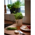 Prima-květináče Elho Brussels Herbs - moderní, designový obal určený pro pěstování bylinek, součástí obalu jsou speciální nerezové nůžky, vaše bylinková zahrádka – vaše zdravá výživa! samozavlažovací plastové venkovní závěsné