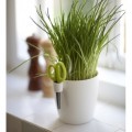 Prima-květináče Elho Brussels Herbs - moderní, designový obal určený pro pěstování bylinek, součástí obalu jsou speciální nerezové nůžky, vaše bylinková zahrádka – vaše zdravá výživa! samozavlažovací plastové venkovní závěsné