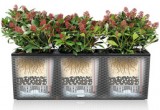 Prima-květináče Velký samozavlažovací truhlík Lechuza Trio Cottage - velké, hranaté, venkovní květináče samozavlažovací plastové venkovní závěsné