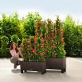 Prima-květináče Samozavlažovací květináče Lechuza Trio Cottage - velké, hranaté, venkovní květináče samozavlažovací plastové venkovní závěsné